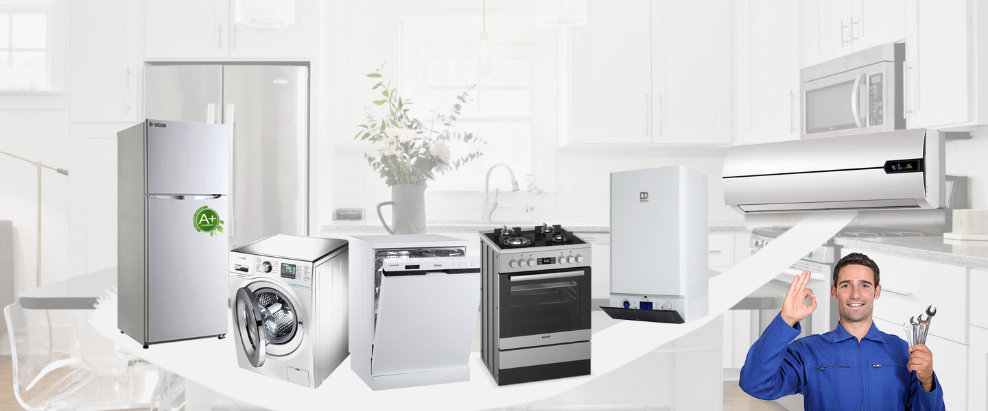 Eskifoça Electrolux Servisi
